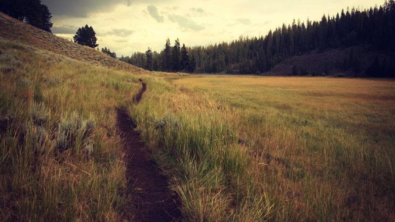 Giappone: dimissioni in blocco del governo Takaichi