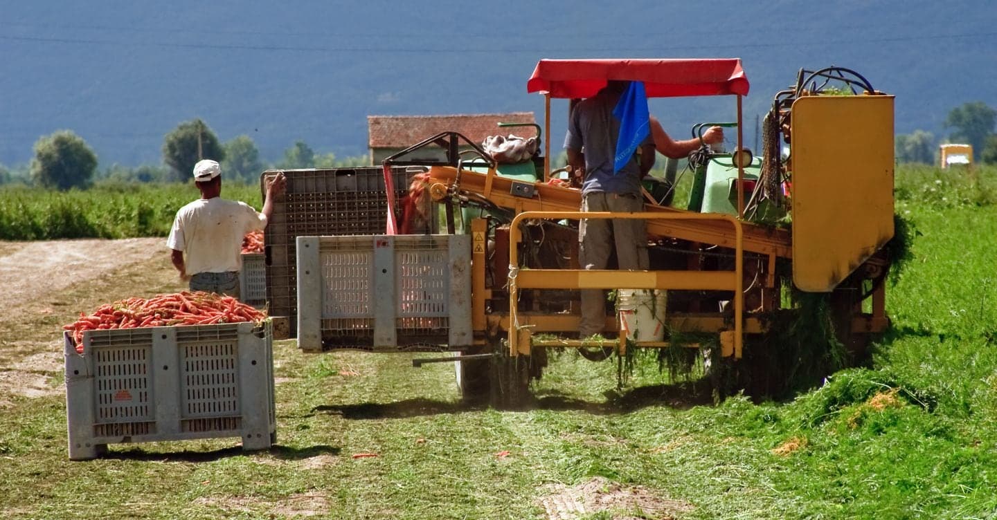 Condanne per traffico visti Italia-Bangladesh: oltre 600mila euro