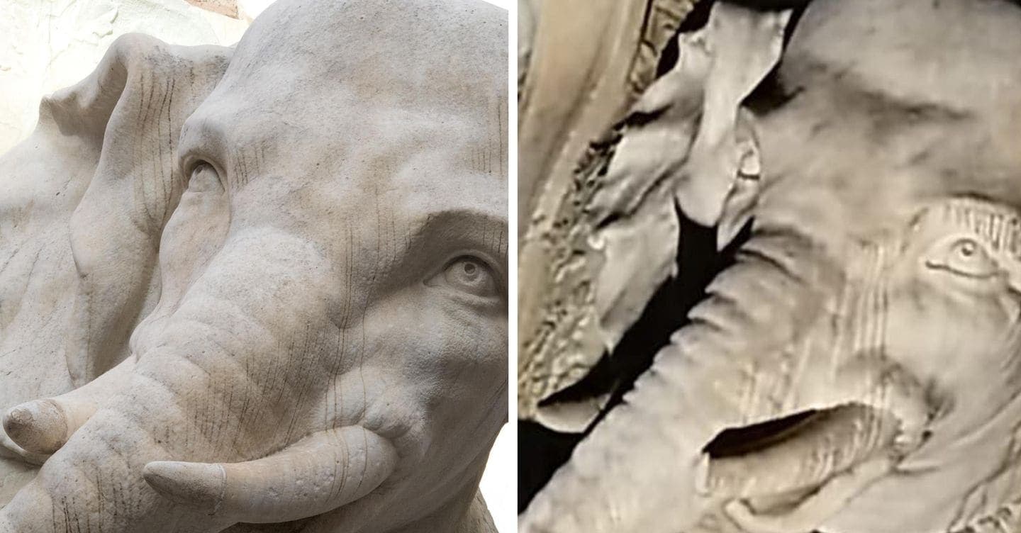 Danneggiata zanna elefantino Bernini a Roma